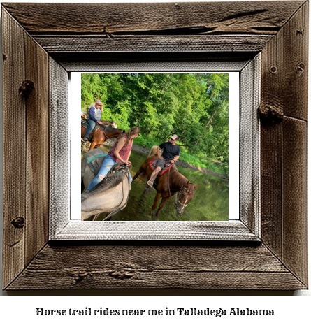 horse trail rides near me in Talladega, Alabama